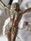 画像5: 【十字架なしキリスト磔刑像】【壁掛け用】イタリア・アンティーク＆ヴィンテージ聖品 (5)
