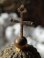 画像15: 【透かし装飾ドーム型小祭壇】【聖テクラ】フランス・アンティーク＆ヴィンテージ聖品