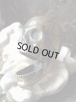 画像14: 【メメントモリ】【髑髏・スカル・ヴェスタ・マッチケース】【Georgeジョージ】イギリス・アンティーク＆ヴィンテージ品