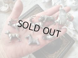 画像11:  【ご予約品】【シルバー800製ミニチュアアニマル】【水牛】イタリア