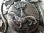 画像8: 【ブルターニュ紋章シンボルエルミーヌ王冠オコジョ】【ベルト用バックル】フランス・アンティーク＆ヴィンテージ品