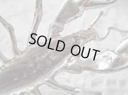 画像14: 【シルバー800製ミニチュアいきもの】【ロブスター】イタリア・アンティーク＆ヴィンテージ品