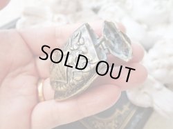 画像7: 【リアルなセミ型ヴェスタケース】イギリス・アンティーク＆ヴィンテージ品