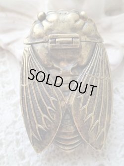 画像10: 【リアルなセミ型ヴェスタケース】イギリス・アンティーク＆ヴィンテージ品