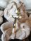 画像1: 【白蝶貝とシルバー製ロザリオ用クロス】フランス・アンティーク＆ヴィンテージクロス (1)