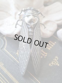 画像2: 【リアルなセミ型ブローチ】【シルバー製】【南仏の幸運モチーフ】フランス・アンティーク＆ヴィンテージ品