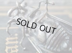 画像15: 【リアルなセミ型ブローチ】【シルバー製】【南仏の幸運モチーフ】フランス・アンティーク＆ヴィンテージ品