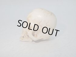 画像3: 【生生流転】髑髏作家服部・髑髏根付・提げ物・彫刻・その他髑髏作品