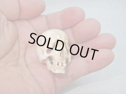 画像13: 【生生流転】髑髏作家服部・髑髏根付・提げ物・彫刻・その他髑髏作品