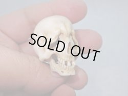 画像14: 【生生流転】髑髏作家服部・髑髏根付・提げ物・彫刻・その他髑髏作品