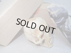 画像20: 【生生流転】髑髏作家服部・髑髏根付・提げ物・彫刻・その他髑髏作品