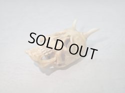 画像6: 【象牙】【鬼面仏心】髑髏作家服部・髑髏根付・提げ物・彫刻・その他髑髏作品