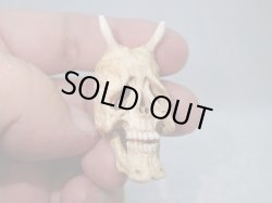 画像8: 【象牙】【鬼面仏心】髑髏作家服部・髑髏根付・提げ物・彫刻・その他髑髏作品