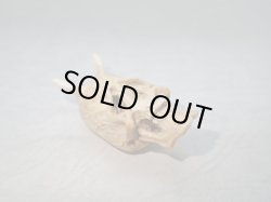 画像2: 【象牙】【鬼面仏心】髑髏作家服部・髑髏根付・提げ物・彫刻・その他髑髏作品