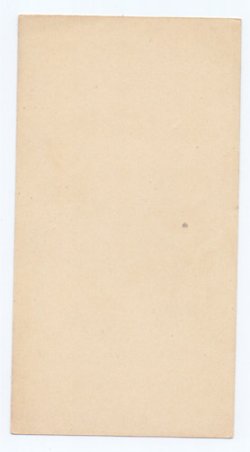 画像2: 【ボタニカルアートお花の絵J】【1900年代初頭】フランス・アンティーク＆ヴィンテージホーリーカード