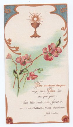 画像1: 【ボタニカルアートお花の絵J】【1900年代初頭】フランス・アンティーク＆ヴィンテージホーリーカード
