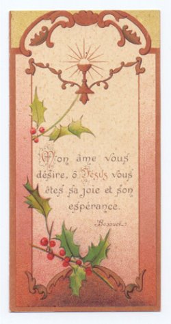 画像1: 【ボタニカルアートお花の絵H】【1900年代初頭】フランス・アンティーク＆ヴィンテージホーリーカード