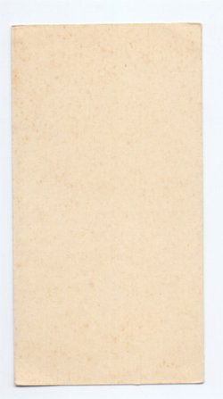 画像2: 【ボタニカルアートお花の絵G】【1900年代初頭】フランス・アンティーク＆ヴィンテージホーリーカード