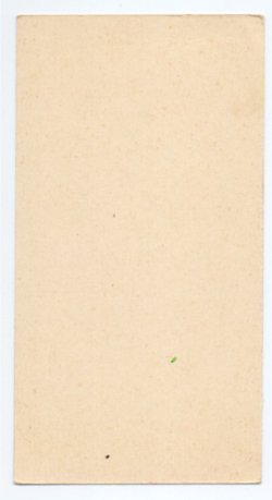 画像2: 【ボタニカルアートお花の絵D】【1900年代初頭】フランス・アンティーク＆ヴィンテージホーリーカード