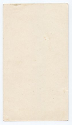 画像2: 【ボタニカルアートお花の絵F】【1900年代初頭】フランス・アンティーク＆ヴィンテージホーリーカード