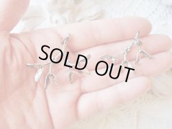 ヤドリギAとの比較