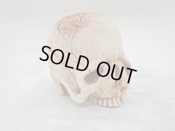画像6: 【髑髏根付】【B・共箱付き】髑髏作家服部・髑髏根付・提げ物・彫刻・その他髑髏作品