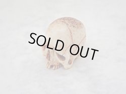 画像4: 【髑髏根付】【B・共箱付き】髑髏作家服部・髑髏根付・提げ物・彫刻・その他髑髏作品