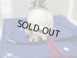 画像3: 【髑髏根付】【B・共箱付き】髑髏作家服部・髑髏根付・提げ物・彫刻・その他髑髏作品
