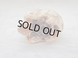 画像9: 【髑髏根付】【B・共箱付き】髑髏作家服部・髑髏根付・提げ物・彫刻・その他髑髏作品