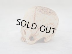 画像7: 【髑髏根付】【B・共箱付き】髑髏作家服部・髑髏根付・提げ物・彫刻・その他髑髏作品