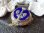 画像1: 【聖ジャンヌダルク紋章】【青エナメルロカイユ装飾】【パウダーケース】フランス ・アンティーク＆ヴィンテージ品 (1)
