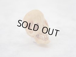 画像4: 【髑髏珠h】【数珠/ブレスレット用横穴タイプミニ髑髏】髑髏作家服部・髑髏根付・提げ物・彫刻・その他髑髏作品