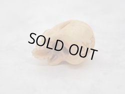 画像7: 【髑髏珠b】【数珠/ブレスレット用横穴タイプミニ髑髏】髑髏作家服部・髑髏根付・提げ物・彫刻・その他髑髏作品