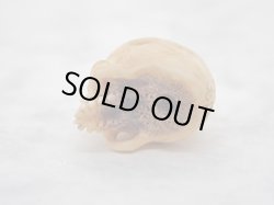 画像7: 【髑髏珠k】【数珠/ブレスレット用横穴タイプミニ髑髏】髑髏作家服部・髑髏根付・提げ物・彫刻・その他髑髏作品