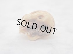 画像7: 【髑髏珠i】【数珠/ブレスレット用横穴タイプミニ髑髏】髑髏作家服部・髑髏根付・提げ物・彫刻・その他髑髏作品