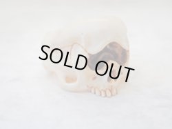 画像5: 【銘無し旧作品の為特価】【一つ目髑髏指輪B】【サイクロプス】【奇形髑髏】髑髏作家服部・髑髏根付・提げ物・彫刻・その他髑髏作品