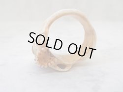 画像8: 【銘無し旧作品の為特価】【一つ目髑髏指輪B】【サイクロプス】【奇形髑髏】髑髏作家服部・髑髏根付・提げ物・彫刻・その他髑髏作品