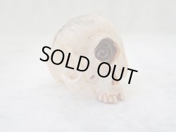 画像5: 【銘無し旧作品の為特価】【一つ目髑髏指輪A】【サイクロプス】【奇形髑髏】髑髏作家服部・髑髏根付・提げ物・彫刻・その他髑髏作品