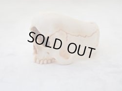 画像6: 【銘無し旧作品の為特価】【一つ目髑髏指輪B】【サイクロプス】【奇形髑髏】髑髏作家服部・髑髏根付・提げ物・彫刻・その他髑髏作品