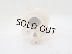 画像4: 【銘無し旧作品の為特価】【一つ目髑髏指輪A】【サイクロプス】【奇形髑髏】髑髏作家服部・髑髏根付・提げ物・彫刻・その他髑髏作品