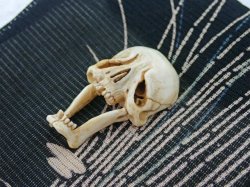 画像2: 【在銘】【髑髏箸置きB】髑髏作家服部・髑髏根付・提げ物・彫刻・その他髑髏作品