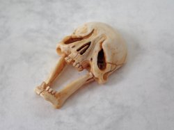 画像4: 【在銘】【髑髏箸置きB】髑髏作家服部・髑髏根付・提げ物・彫刻・その他髑髏作品