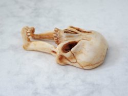 画像7: 【在銘】【髑髏箸置きB】髑髏作家服部・髑髏根付・提げ物・彫刻・その他髑髏作品