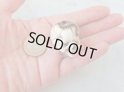 画像13: 髑髏根付【百折不撓】鹿角製 髑髏作家服部・髑髏根付・提げ物・彫刻・その他髑髏作品