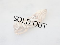 画像4: 【在銘】蛹髑髏根付【蛹化髑髏】鹿角製 髑髏作家服部・髑髏根付・提げ物・彫刻・その他髑髏作品