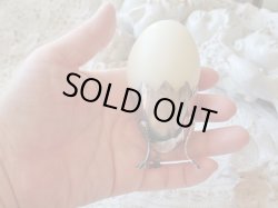 画像13: 【鶏脚とギザ殻エッグスタンド】【カリメロ】フランス・ヴィンテージ品