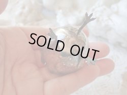 画像11: 【鶏脚とギザ殻エッグスタンド】【カリメロ】フランス・ヴィンテージ品