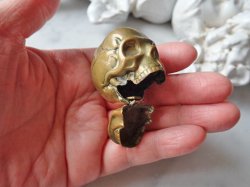 画像15: 【メメントモリ】【スカルヴェスタ】【Jackジャック】イギリス・アンティーク＆ヴィンテージ品