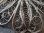 画像7: 【フィリグリーのブローチ】【フランソワ1世サラマンダー紋章】フランス・アンティーク＆ヴィンテージ品