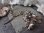 画像2: 【イタリア製ヴィンテージシルバー800/925ミニチュア】【ヤドリギとヒイラギのセット】イタリア・アンティーク＆ヴィンテージ品